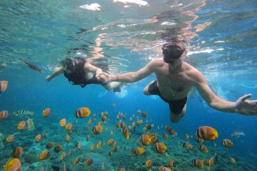 West Nusa Penida Tour With Snorkeling - 8