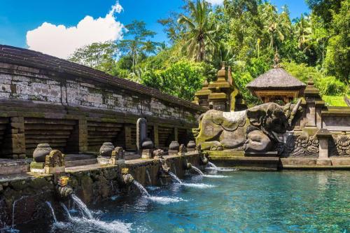 Ubud - Kintamani Fullday Tour - 12