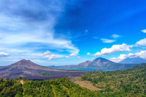 Ubud - Kintamani Fullday Tour - 10