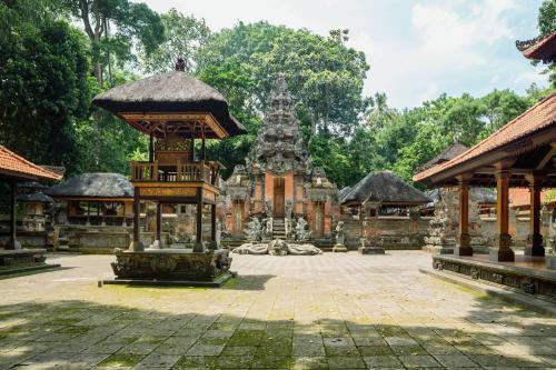 Ubud, Art & Cultural Tour - 5