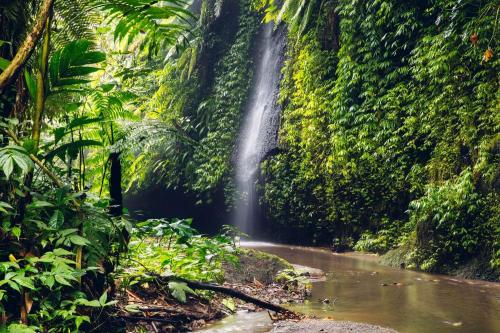 Kintamani, Cultural  & Natural Marvels - 13