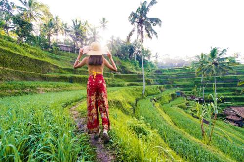 Kintamani, Cultural  & Natural Marvels - 3