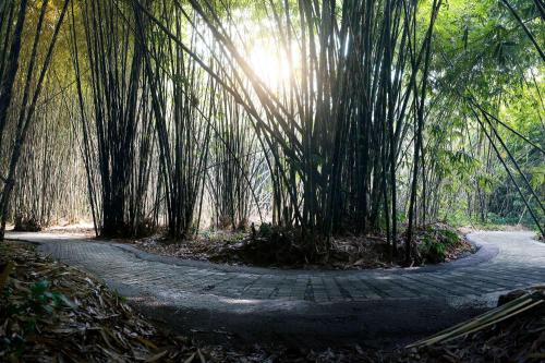 Kintamani, Cultural  & Natural Marvels - 10