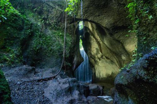 Kintamani, Cultural  & Natural Marvels - 15