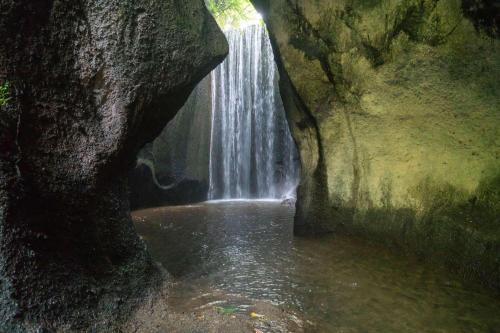 Kintamani, Cultural  & Natural Marvels - 16