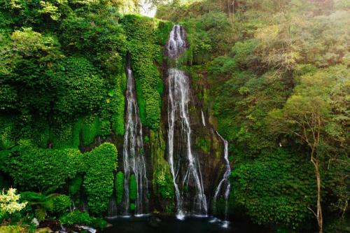 Bedugul & Natural Treasures - 6