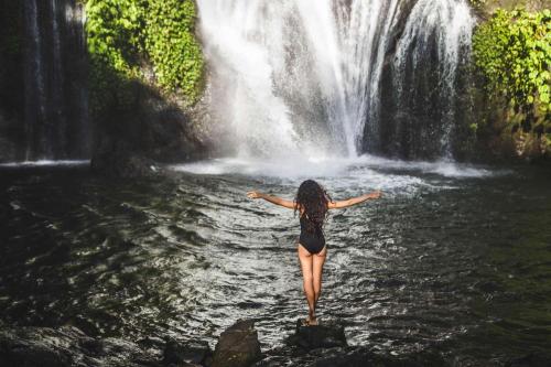 Bedugul & Natural Treasures - 4