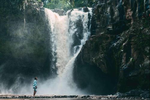 Central Bali Waterfall Exploration - 2