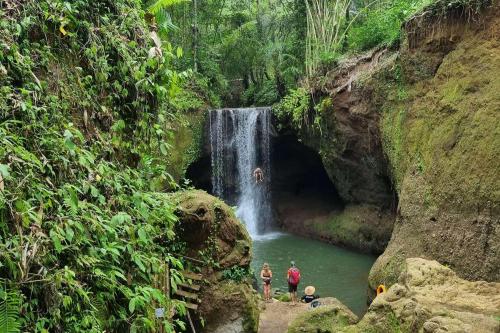 Central Bali Waterfall Exploration - 10