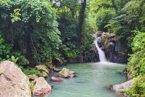 Bali Utara, Eksplor Lumba-lumba & Air Terjun - 4