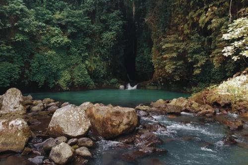 Bali Utara, Eksplor Lumba-lumba & Air Terjun - 2