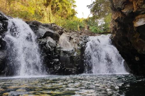 Bali Utara, Eksplor Lumba-lumba & Air Terjun - 7
