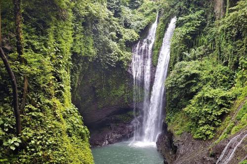 Bali Utara, Eksplor Lumba-lumba & Air Terjun - 5