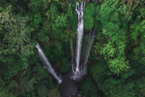 Venture to the Majestic Giant Waterfall - 4