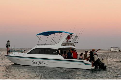 Private Boat Trip Sea Horse II - 2