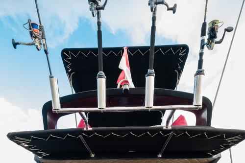 Private Boat Trip Queen Ruizi 10 - 10