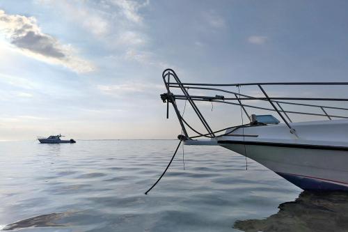 Private Boat Adventure TB-BS01 - 2