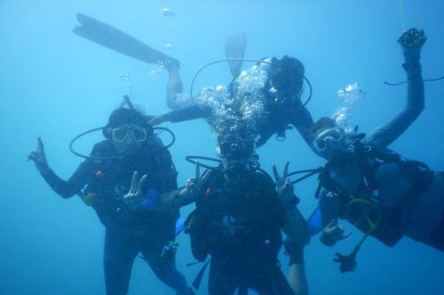 Nusa Penida Diving Package from Bali - 2