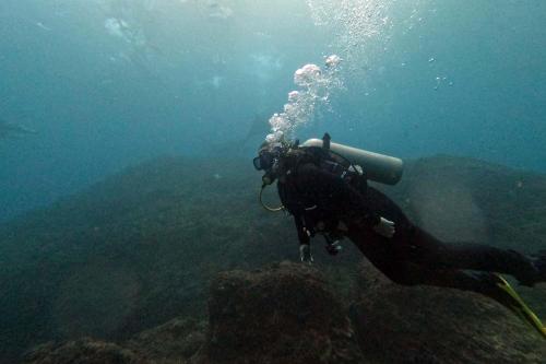 Nusa Penida Diving Package from Bali - 3
