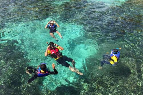 Snorkeling Privat ke Spot Manta Point - 5