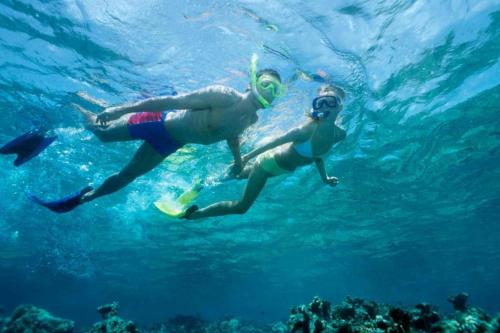 Snorkeling Privat ke Spot Manta Point - 6