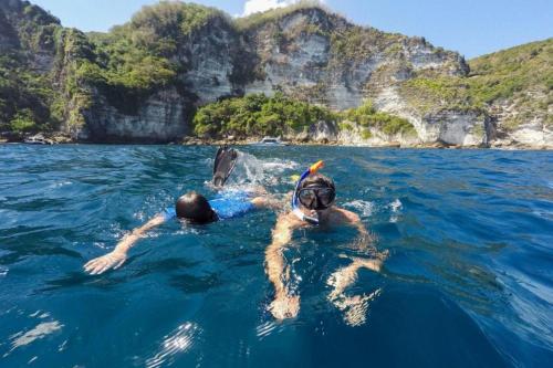Snorkeling Privat ke Spot Manta Point - 2