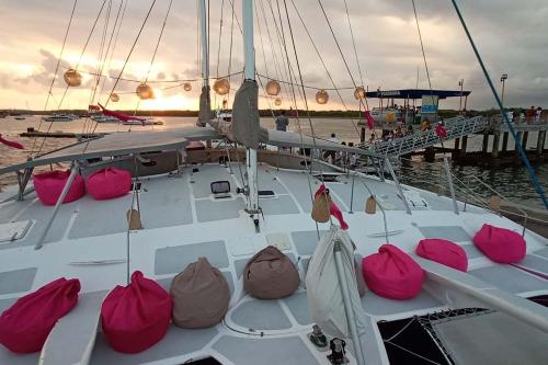 Sharing Catamaran Cruise by Aneecha - 4