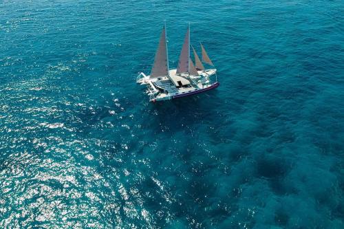 Sharing Catamaran Cruise by Aneecha - 2