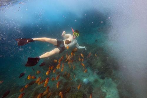 Snorkeling Private ke Manta Bay Nusa Penida - 15