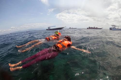 Snorkeling Private ke Manta Bay Nusa Penida - 4
