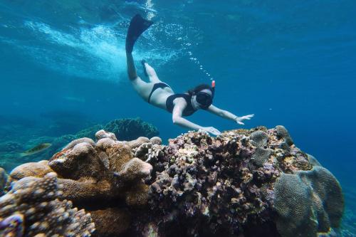 Snorkeling Private ke Manta Bay Nusa Penida - 17