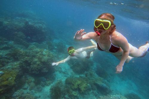 Snorkeling Private ke Manta Bay Nusa Penida - 18