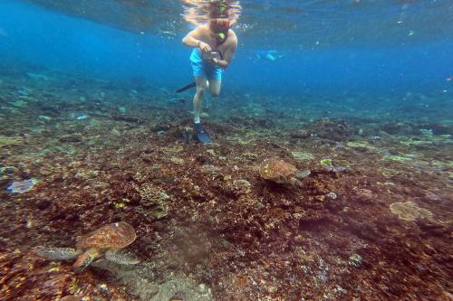 Snorkeling Private ke Manta Bay Nusa Penida - 13