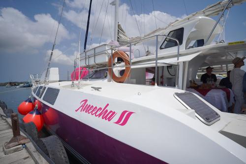 Cruise Catamaran Aneecha II Mengelilingi Pulau Gili - 8