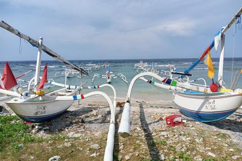 Fishing Adventure in Nusa Penida - 5