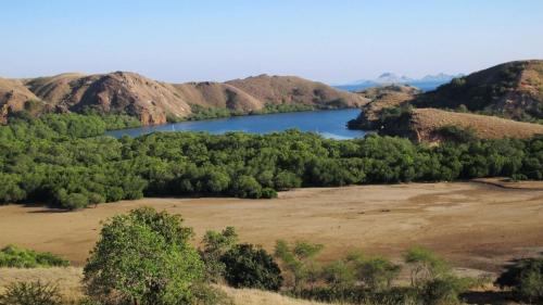 Typhoon: Private Labuan Bajo Experience - 15