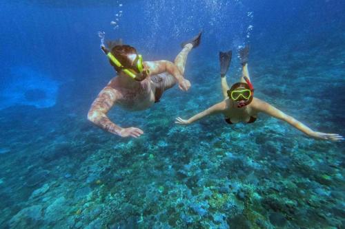 Dari Bali: Trip Snorkeling ke Nusa Penida - 3