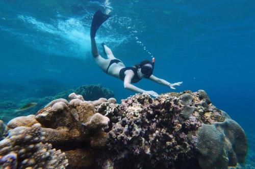 Dari Bali: Trip Snorkeling ke Nusa Penida - 5