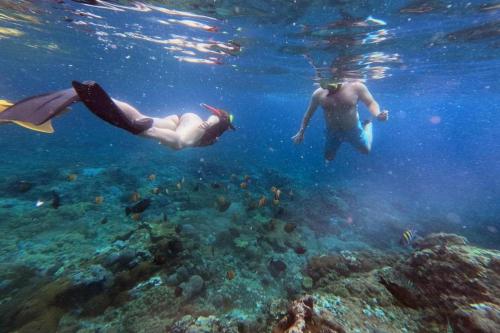 Dari Bali: Trip Snorkeling ke Nusa Penida - 17