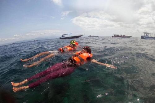 Dari Bali: Trip Snorkeling ke Nusa Penida - 9