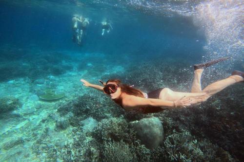 Dari Bali: Trip Snorkeling ke Nusa Penida - 8