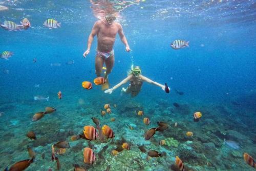 Dari Bali: Trip Snorkeling ke Nusa Penida - 6