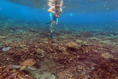 Dari Bali: Trip Snorkeling ke Nusa Penida - 14