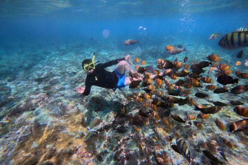 Nusa Penida Snorkeling & Temeling Forest Day Tour - 8