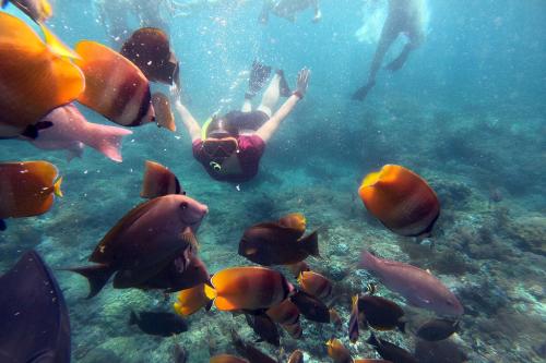 Nusa Penida Snorkeling & Temeling Forest Day Tour - 6