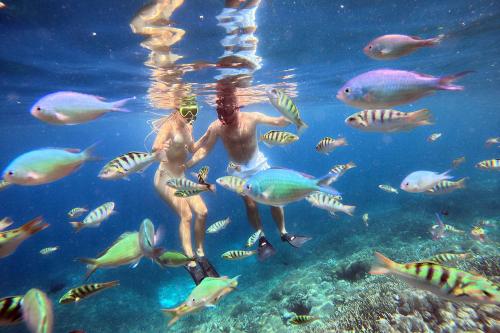 Nusa Penida Snorkeling & Temeling Forest Day Tour - 7