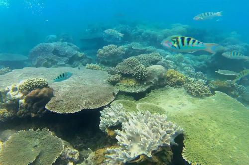 Fun Fishing Adventure in East Bali - 4