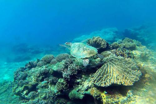 Fun Fishing Adventure in East Bali - 7