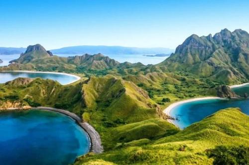 Day Tour at Komodo National Park by Speedboat - 6