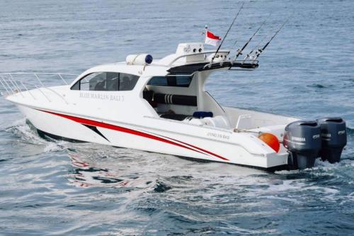 Private BoatTrip Blue Marlin Bali 3 - 3
